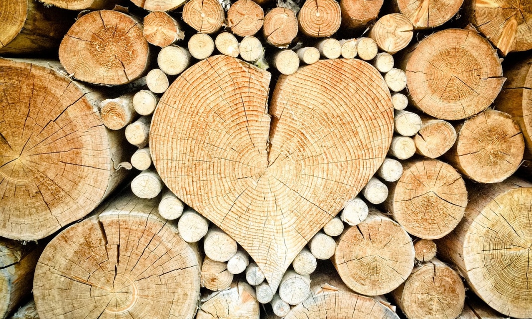 Fornir drewniany – co to jest?