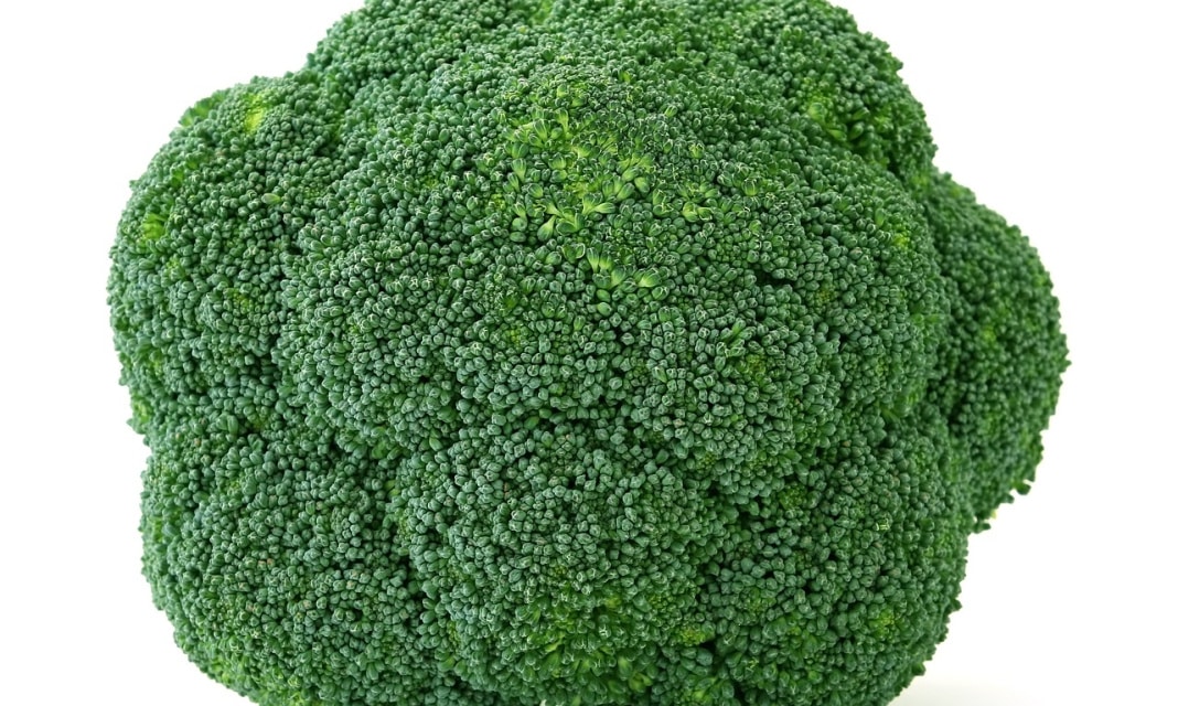 Jak wygląda brokuł?